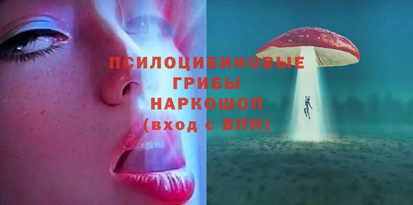 винт Богородицк