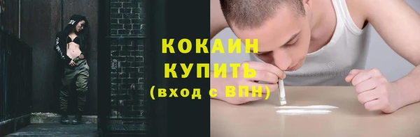 гашик Богородск