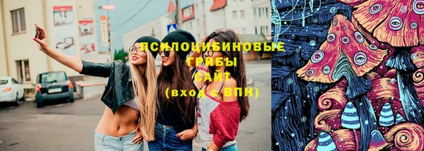 гашик Богородск