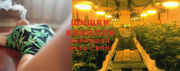 гашик Богородск